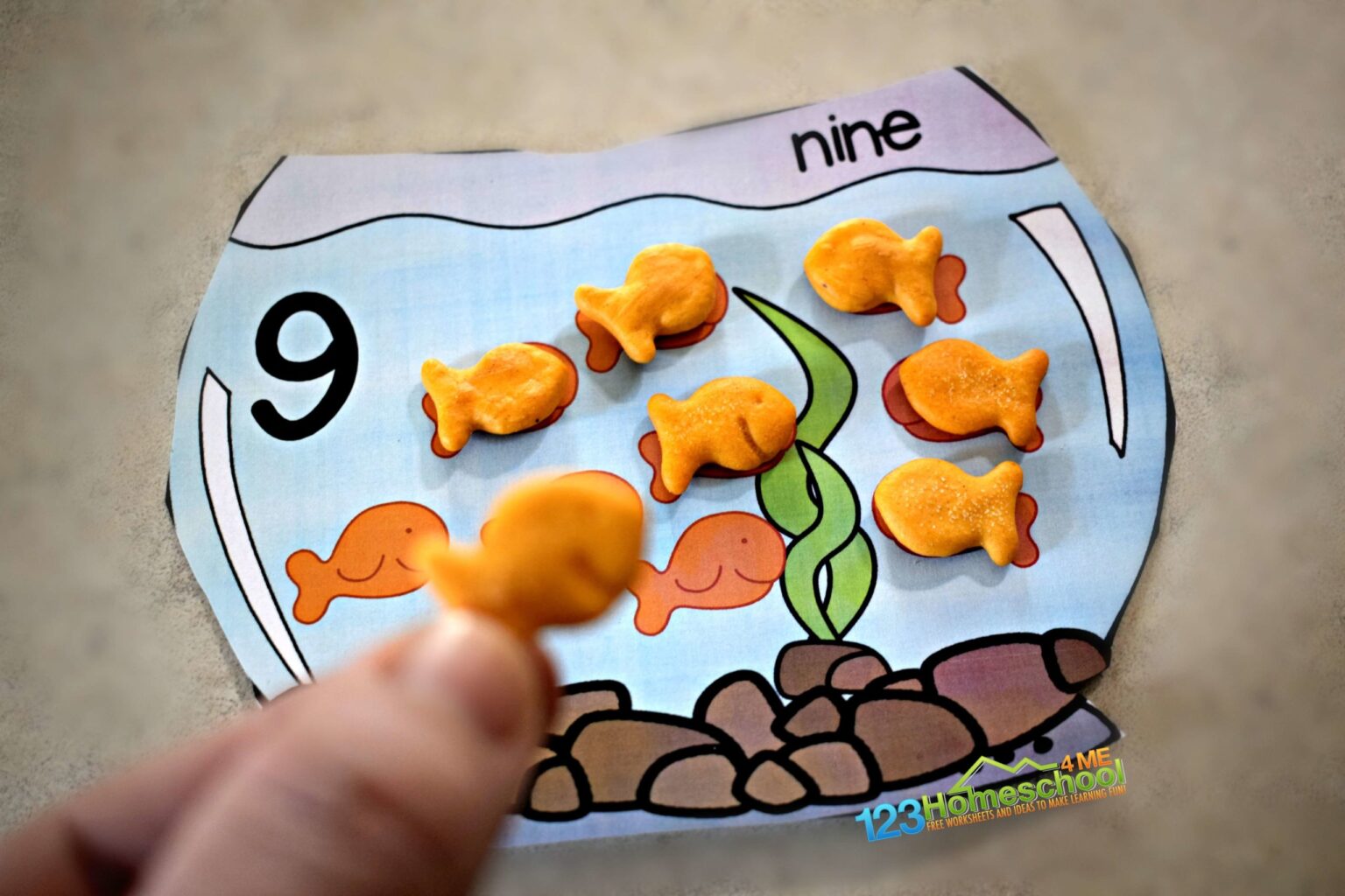 Preschool Math FREE Worksheets And Activities For Preschoolers