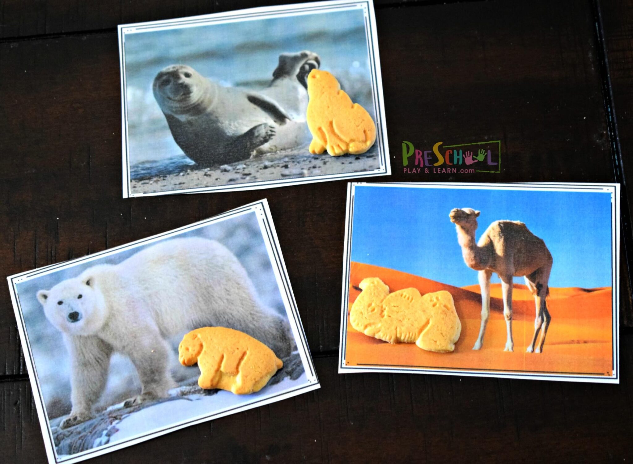 free-animal-matching-printable-activitity-with-animal-cookies