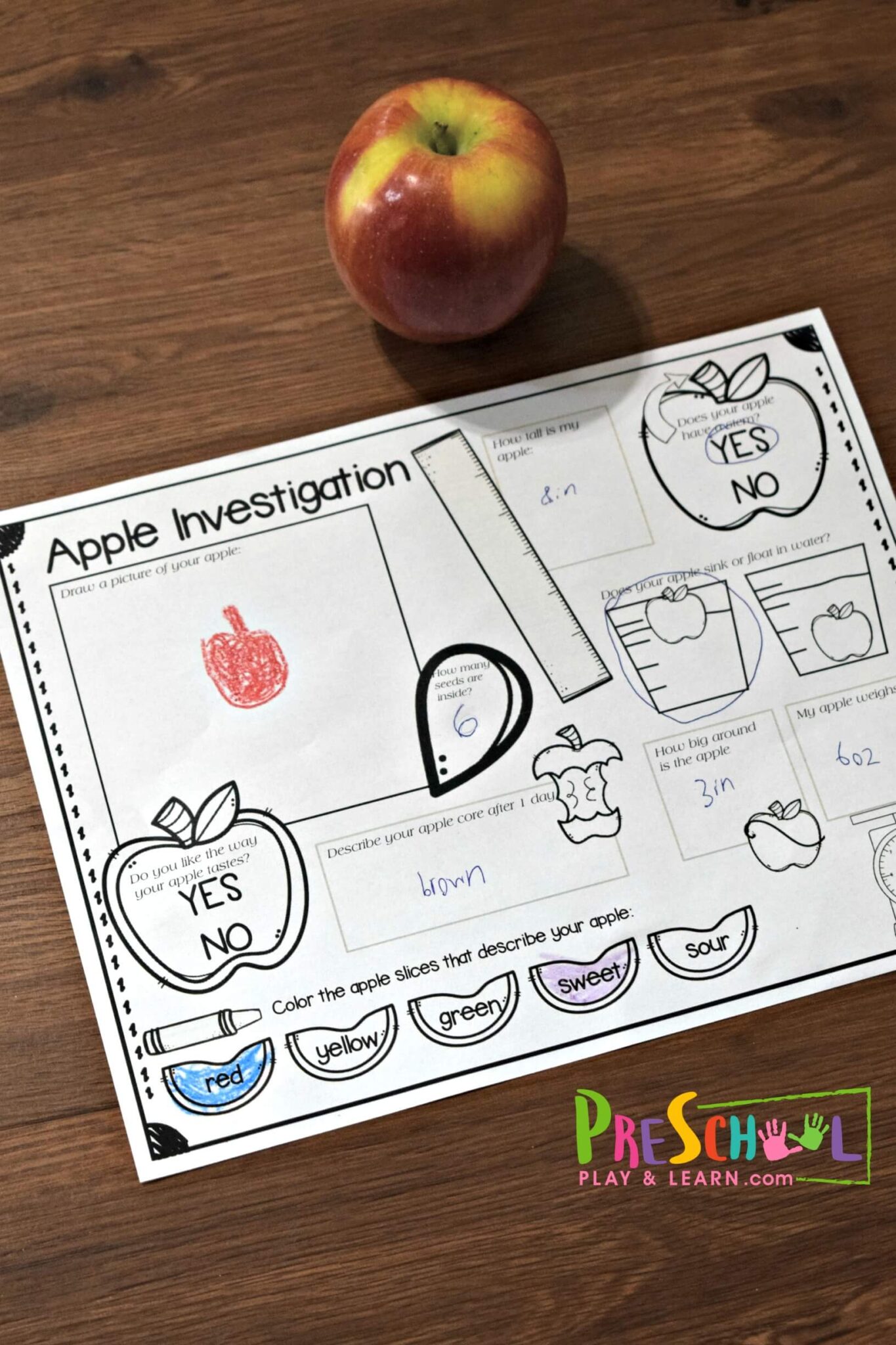 apple science experiments first grade