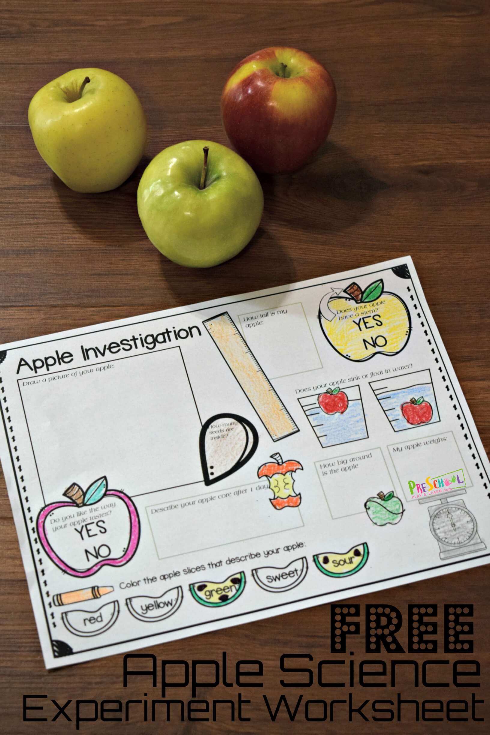 science kindergarten worksheets