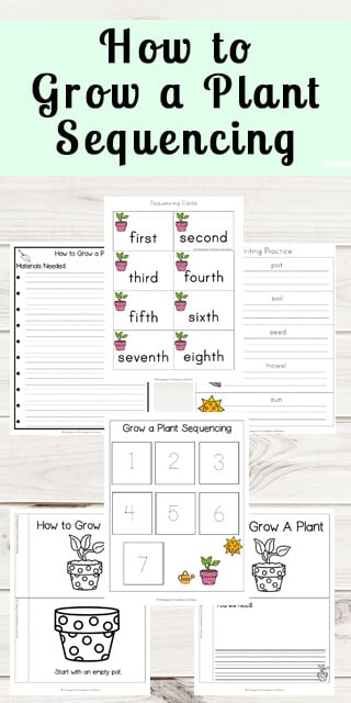 ? FREE Printable Flower Worksheets for Preschoolers