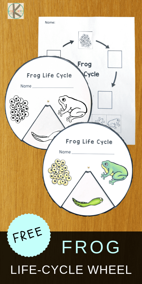 🐸 FREE Frog Printable Preschool Number Recognition Games