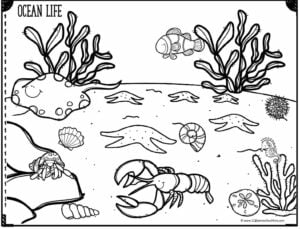 sea life printable coloring pages