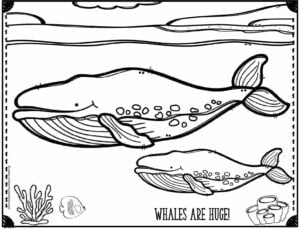 Download Free Ocean Coloring Pages