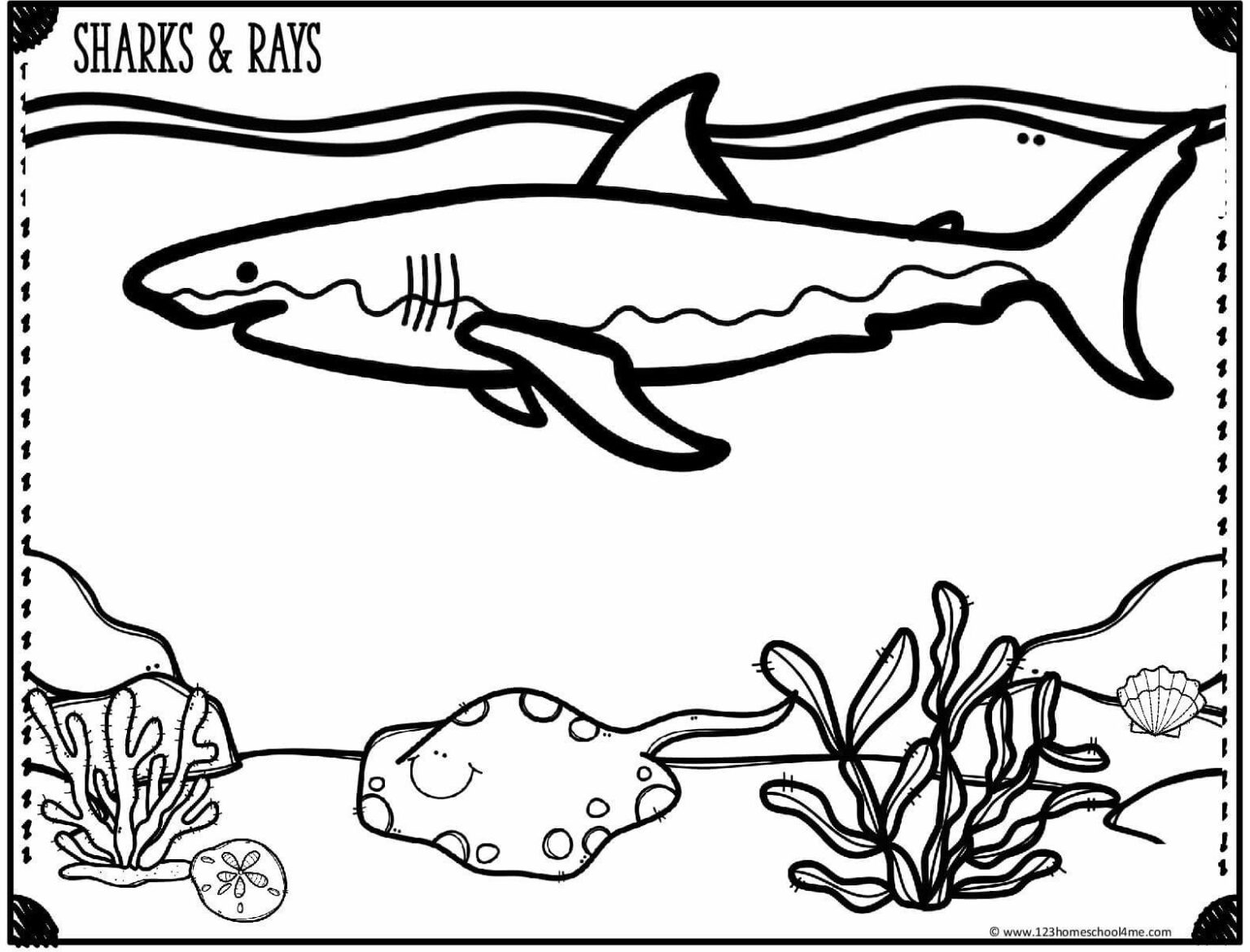 🐳 FREE Printable Ocean Coloring Pages