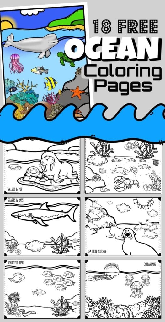 🐳 FREE Printable Ocean Coloring Pages