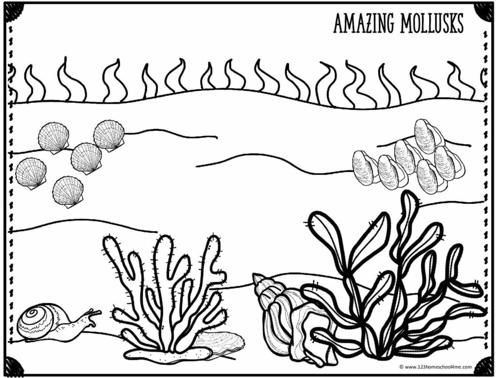 🐳 FREE Printable Ocean Coloring Pages