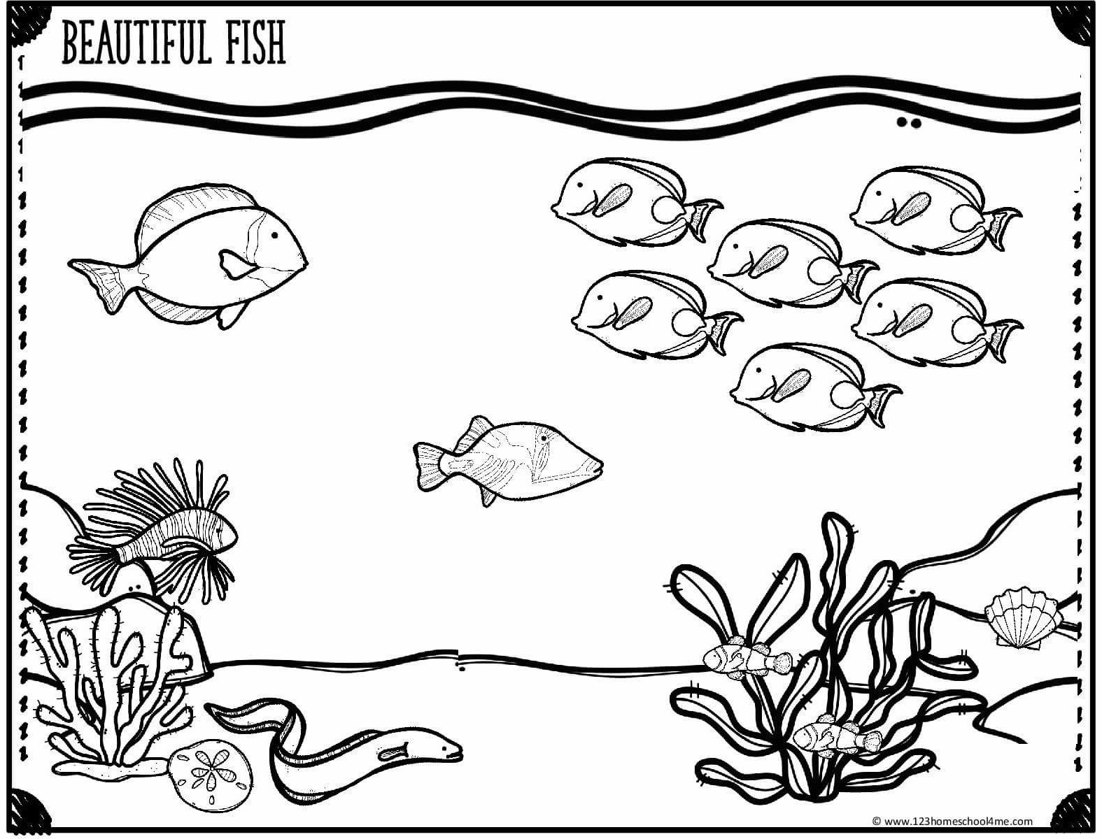 🐳 FREE Printable Ocean Coloring Pages