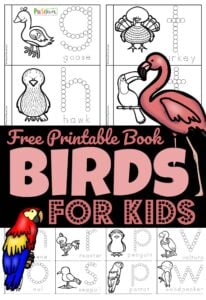 https://www.preschoolplayandlearn.com/wp-content/uploads/2020/08/Birds-for-Preschoolers-Printable-Book-206x300.jpg