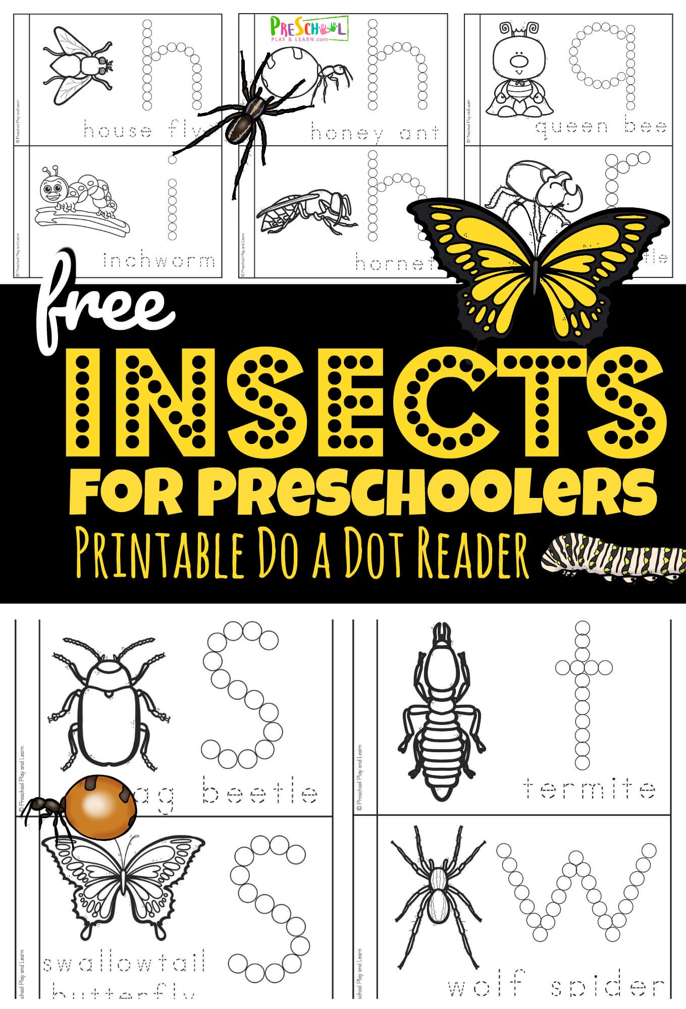 Free Insect Printables For Preschoolers - FREE PRINTABLE TEMPLATES