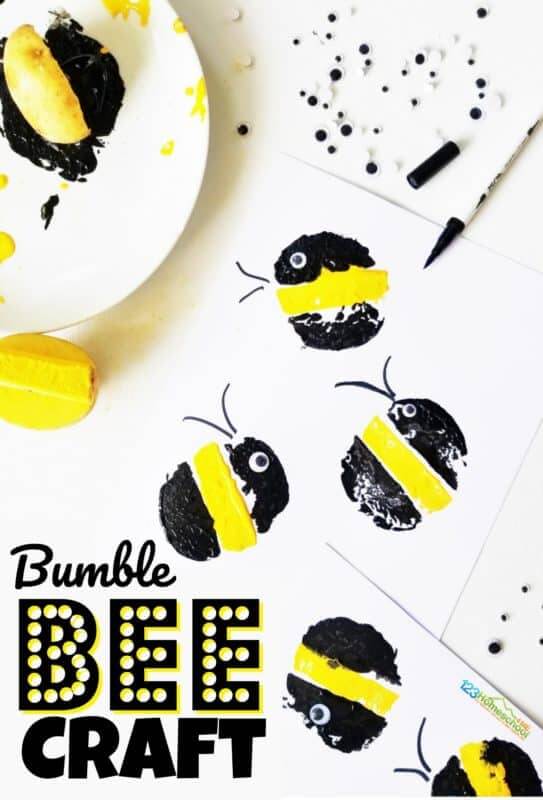 simple-jello-bee-pollination-experiment-for-kids