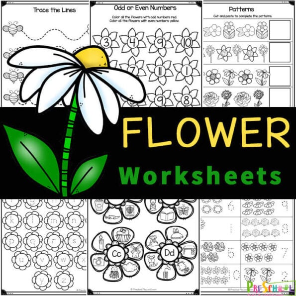 ? FREE Printable Flower Worksheets for Preschoolers