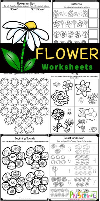 free printable flower worksheets for preschool and kindergarten