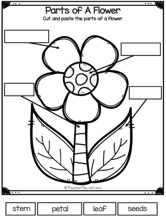 🌼 FREE Printable Flower Worksheets for Preschool and Kindergarten