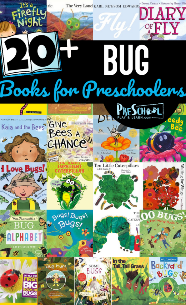 bug-books-for-preschoolers