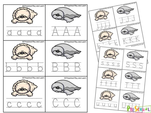 FREE Printable Harp Seal ABC Alphabet Cards