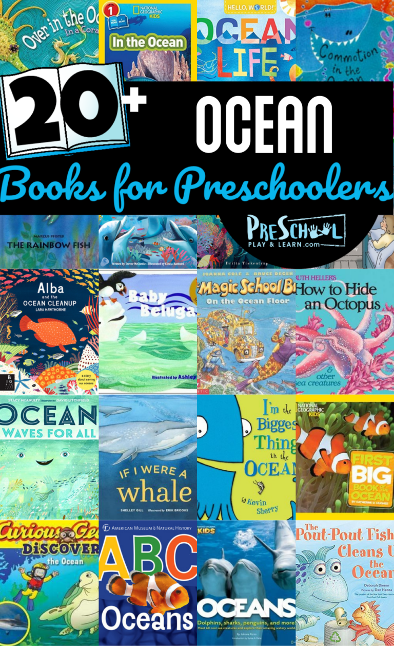 🌊🦈 Ocean Books for Preschoolers