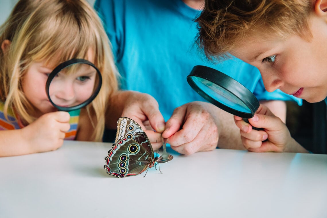 🧪 Preschool Science Activities, Experiments & FREE Worksheets