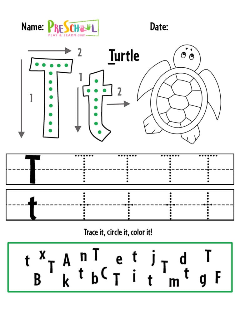 🐢 FREE Printable Turtle Worksheets for Preschool Theme