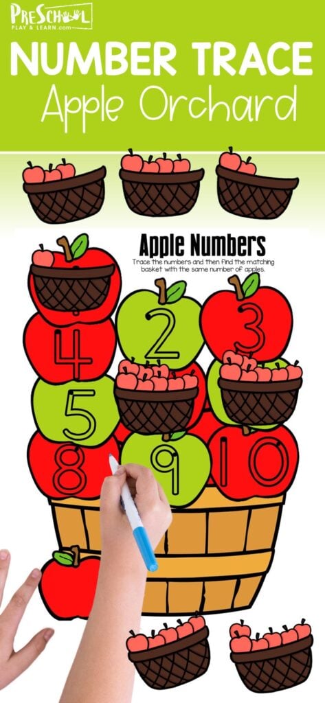 If your preschool child is working on tracing numbers 1-10, you will love this free printable apple activity for preschoolers. This number tracing activity is perfect for practicing tracing and counting to 10 with an apple themed project in September. Simply print the apple printable and you are ready for practicing math with pre-k. 