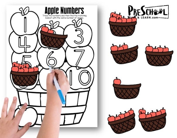 Whether you are a parent, teacher, or homeschooler - you will love this simple, effective way for prek and kindergarten students to practice tracing numbers and understanding what the numerals mean while counting fall apples!