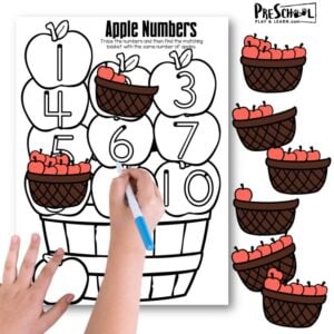 Grab this FREE printable apple activity for preschooler to practice number tracing 1-10, counting, and more with a fun apple theme!