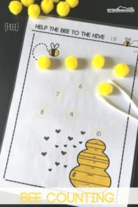 bee math activities for preschoolers