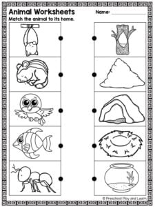 Animal habitats worksheets