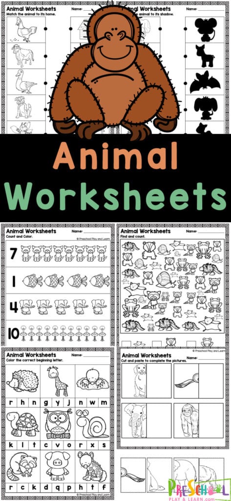 Grab these super cute animal worksheets for preschoolers to make learning fun! These free animal printables allow pre-k and kindegarten students to work on fine motor skills, using scissors, shadow matching, what do animals eat, animal babies, beginning letter sounds, counting, and animal habitats. Simply print the preschool animal worksheets and you are ready to learn with no-prep pages.