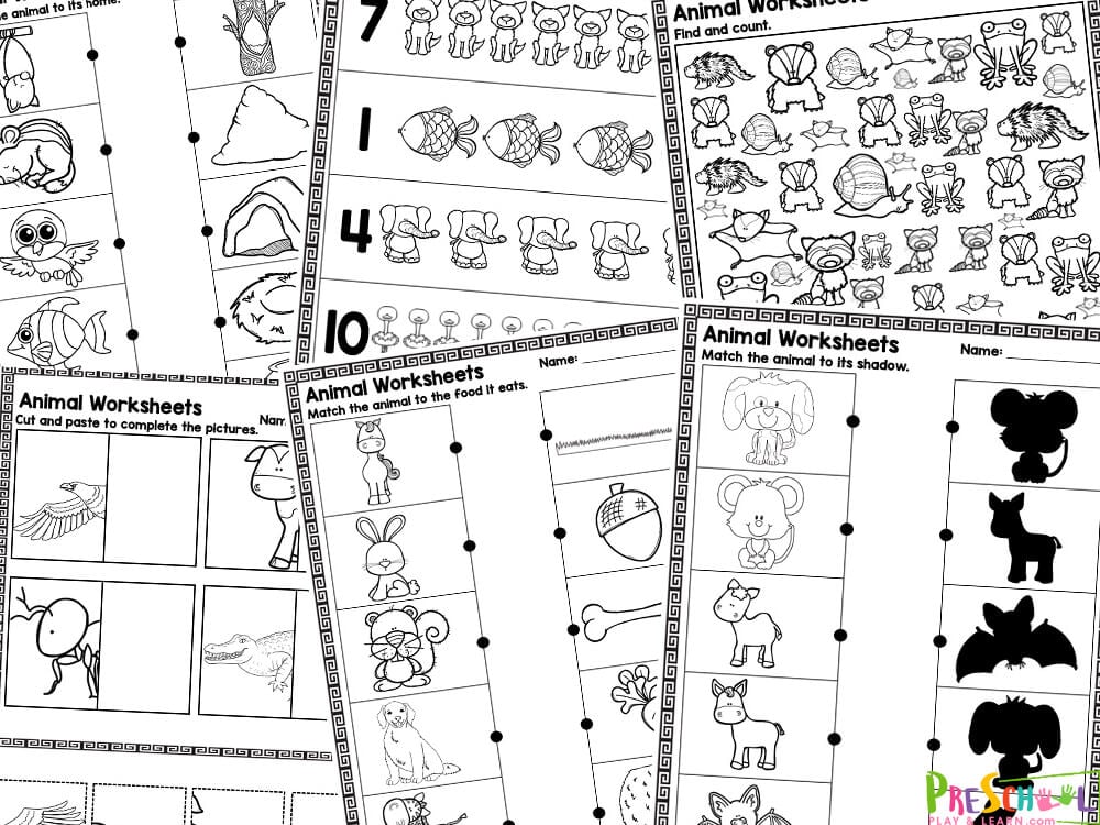 Get ready to make learning an absolute blast with our adorable animal worksheets for preschoolers! As a mother of 6, and teacher for over 15 years I understand that children learn best when they are willing participants. So I've created these preschool animal worksheets to be fun, engaging, and filled with super cute pictures of animals.  These free printable resources are designed to engage young minds and help them develop important skills while having fun with their favorite animals: elephant, giraffee, racoon, hedgehog, turtle, owl, snail, pig, hyenna, dog, gorilla, frog, flamingo, fish, bat, and so many other zoo animals.  