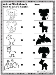 animal shadow worksheet