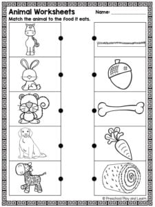 animals and their food matching worksheet