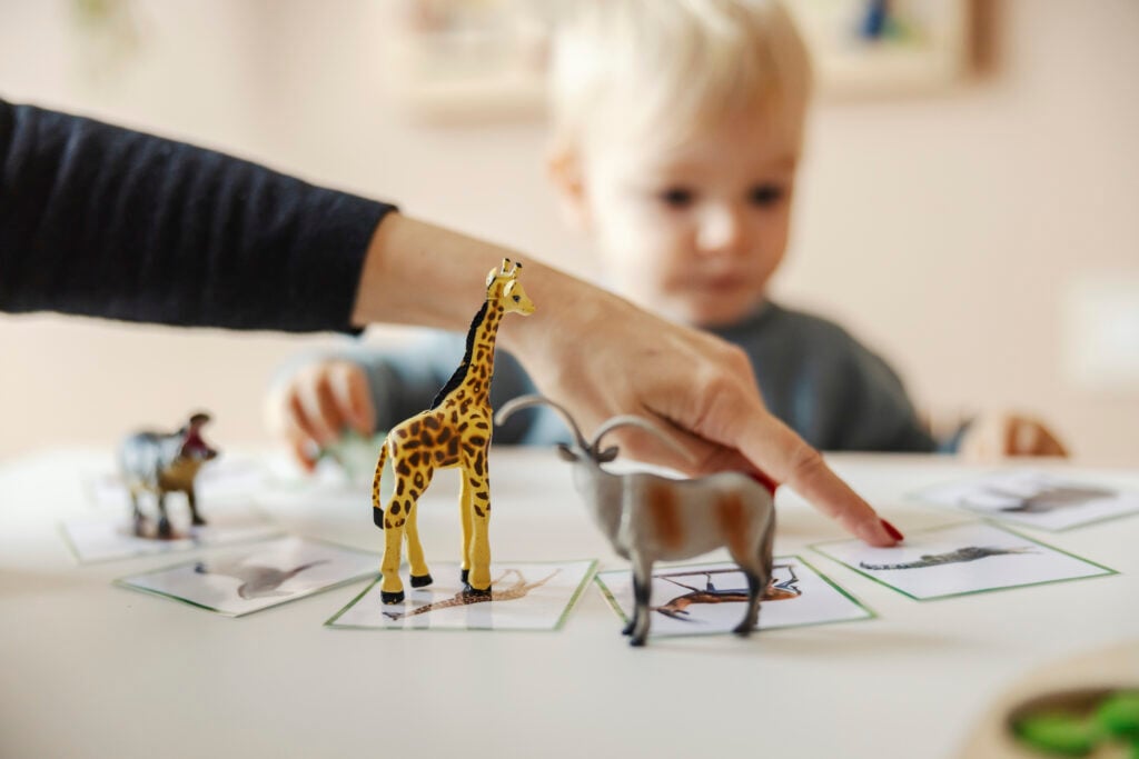 why should preschoolers learn about animals