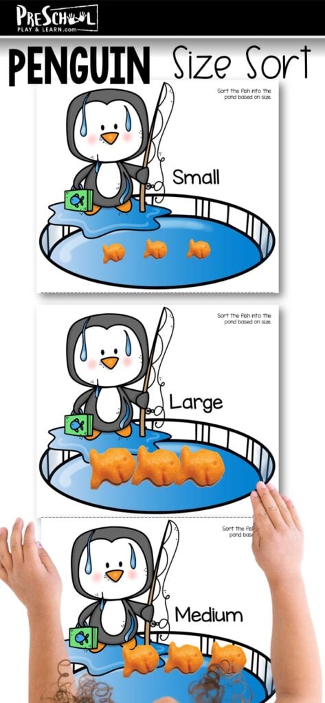 If your child is learning sorting by size you will love this super cute, penguin themed, size activities for preschoolers! This penguin activity helps preschool, pre-k, toddler, and kindergarten students work on discriminating objects into big medium small. Simply download and print the activity in color or black and white and you are ready to play and learn!