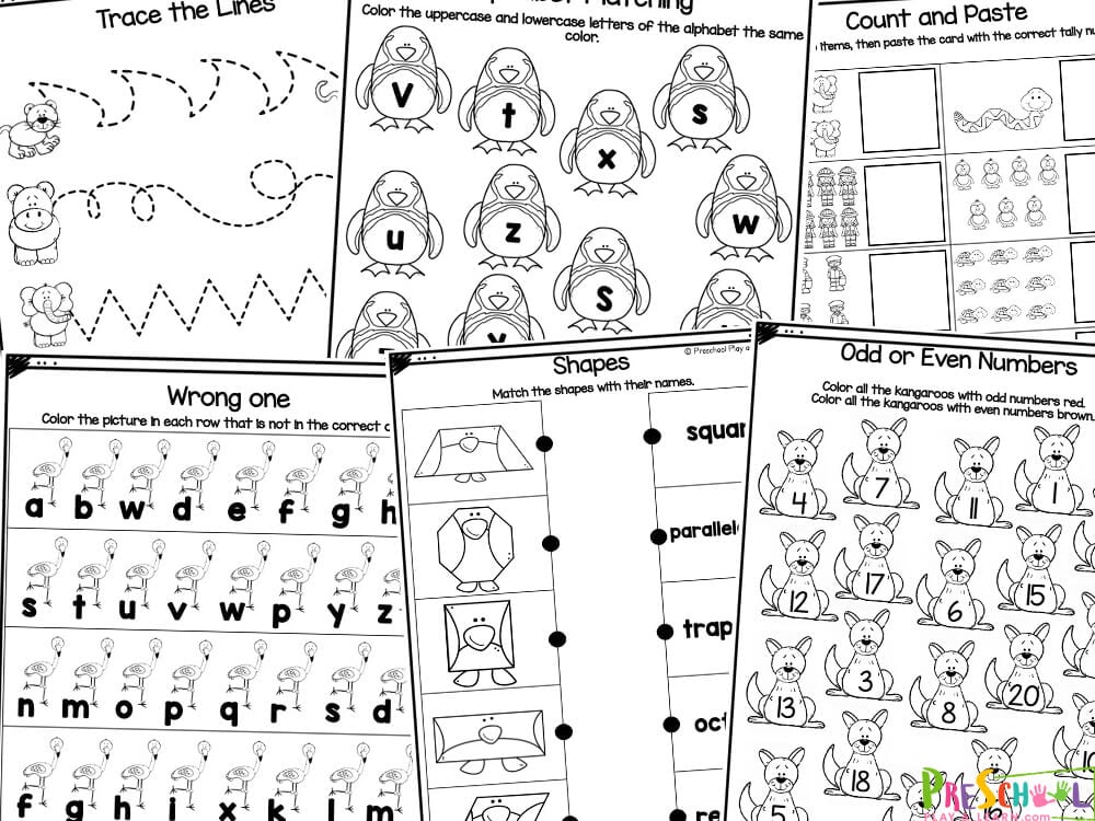 The 20 pages of animal printables have lots of fun zoo activities including: Welcome to the Zoo - Cut and paste the pictures that belong in the zoo into the correct columns Animal Movement - Trace the lines Flamingo Flop - Cross out the alphabet letter that is in the wrong ABC order Zoo Sign Trace the lower case letters of the alphabet Trace the uppercase letters of the alphabet